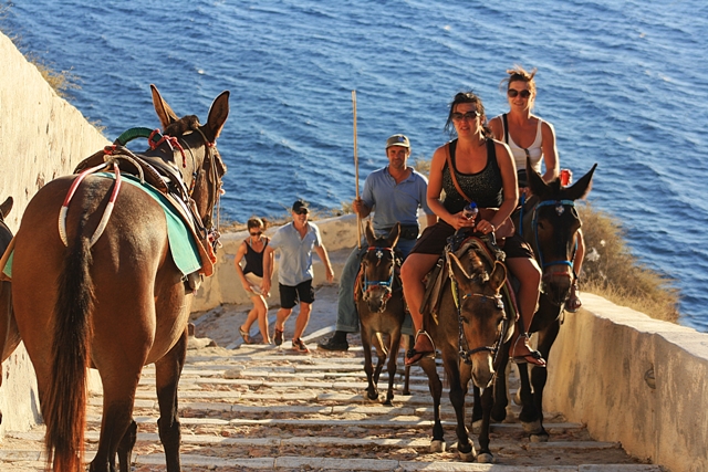 Santorini donkeys by Maf-travelgraphy